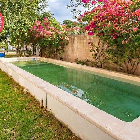 Hostpal Hotel Bugambilias Bacalar Exterior photo